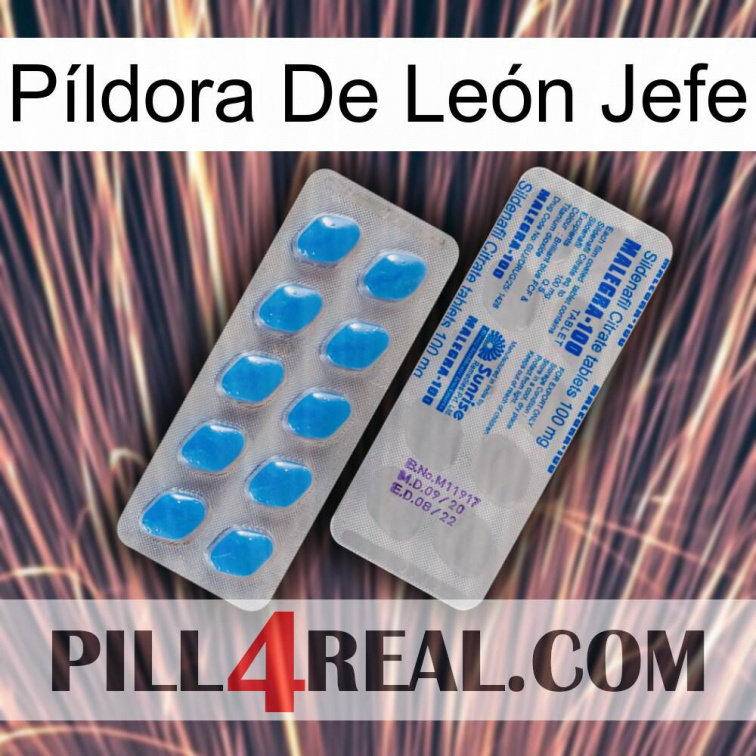 Píldora De León Jefe new15